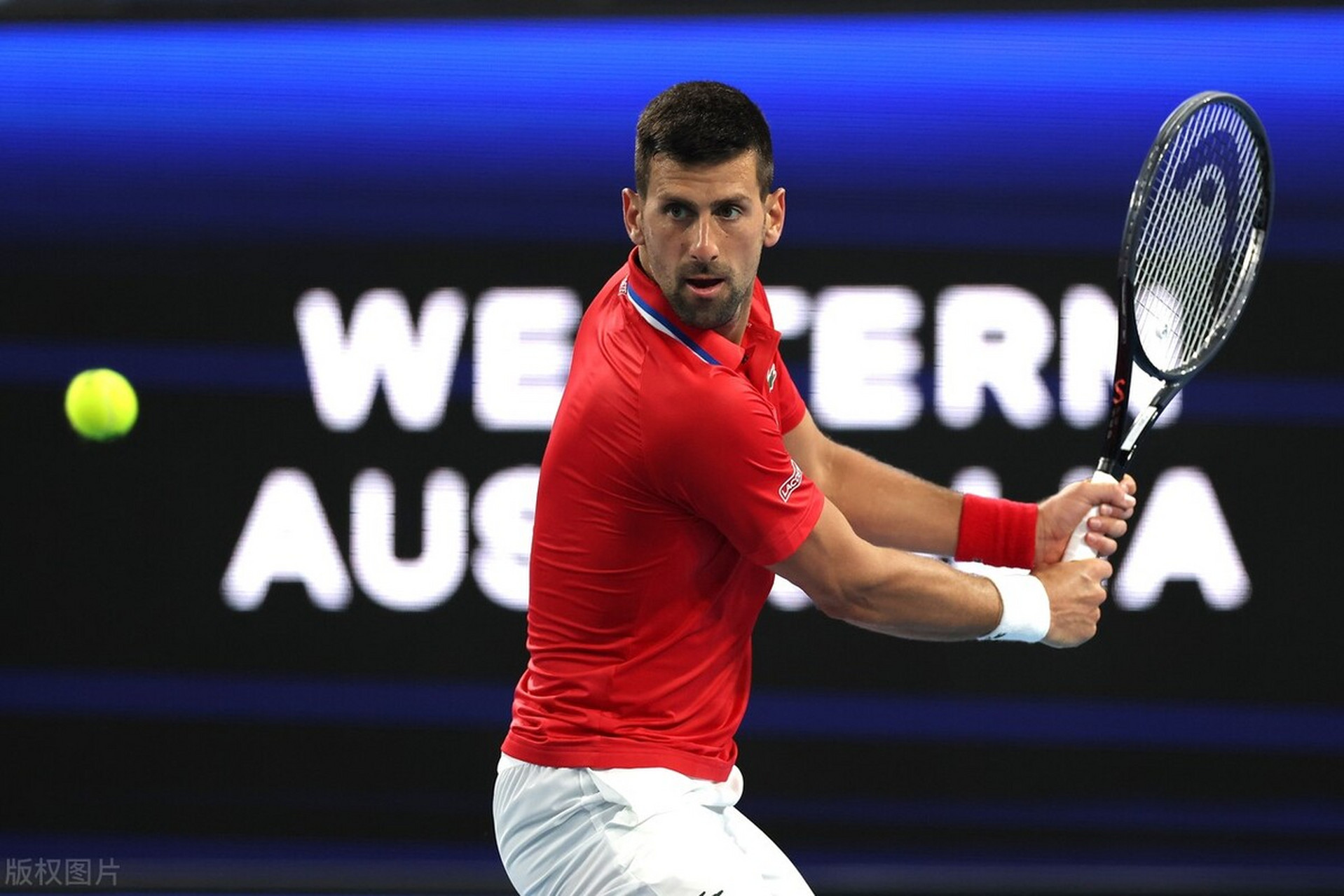 爱游戏在线-年终总决赛力克戴维斯杯，德约科维奇点燃赛场