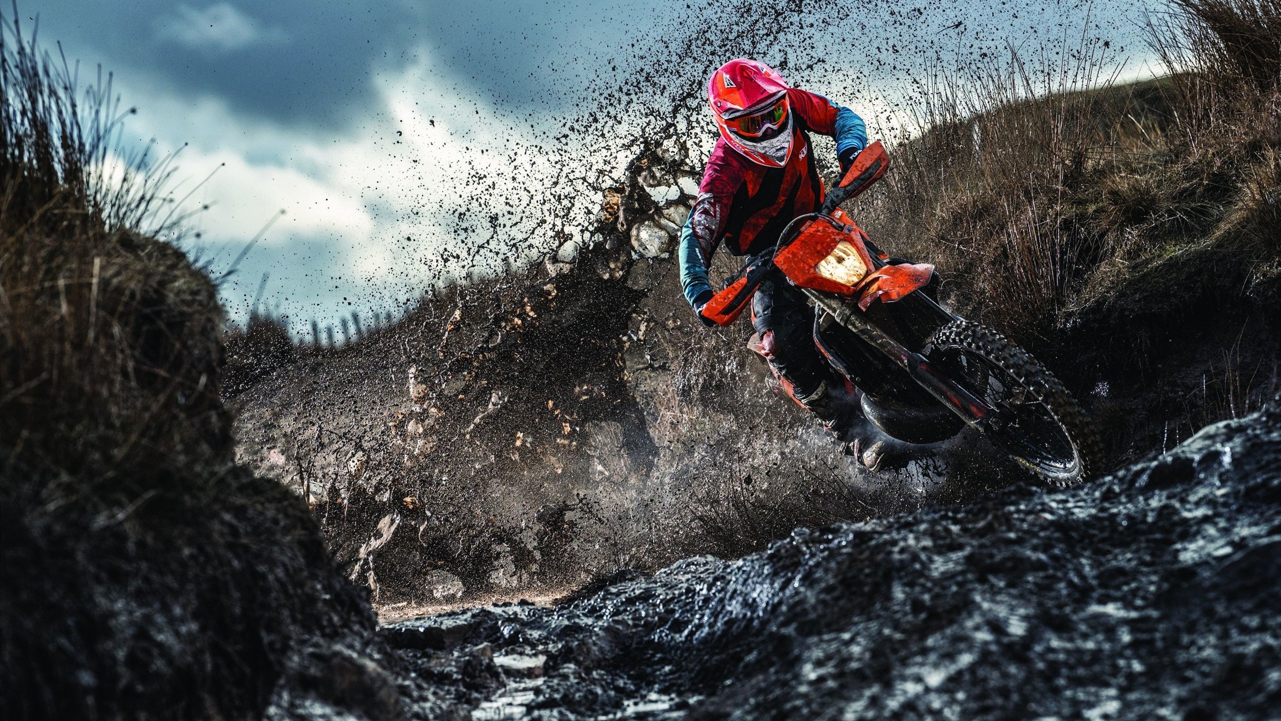 热火鏖战深圳队，福克斯在压力熔炉中完成涅槃